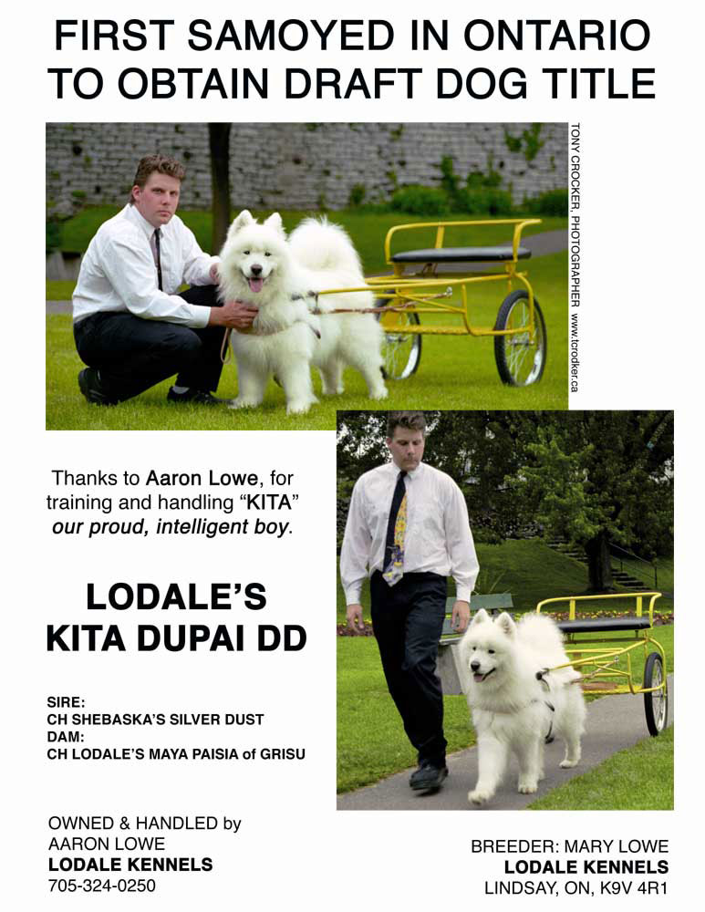 LODALE POSTER